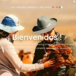 Andino Travel